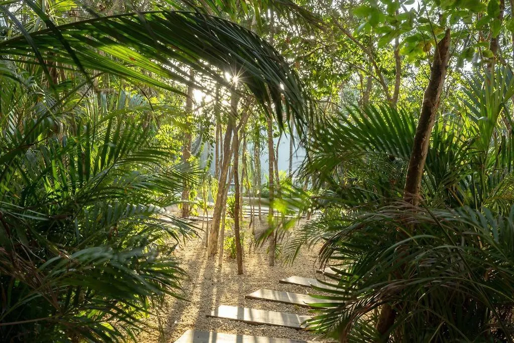 New 2 Bed Bath - Tulum 아파트